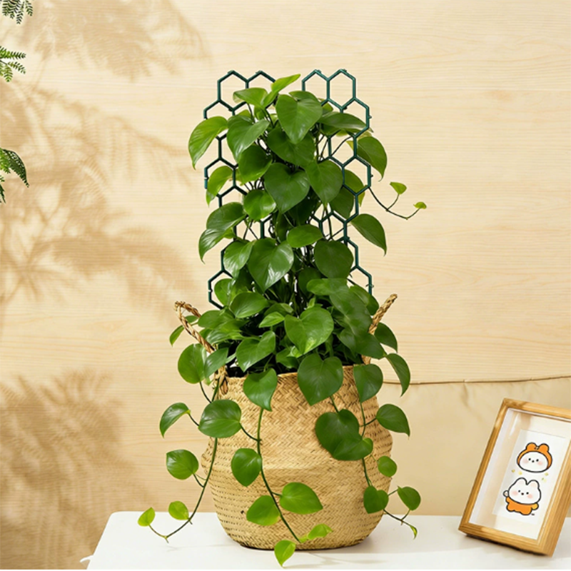πΏ LIMITED-TIME 30% OFF! β¨ Honeycomb Plant Trellis β Rust-Proof, Stackable, Easy Install π