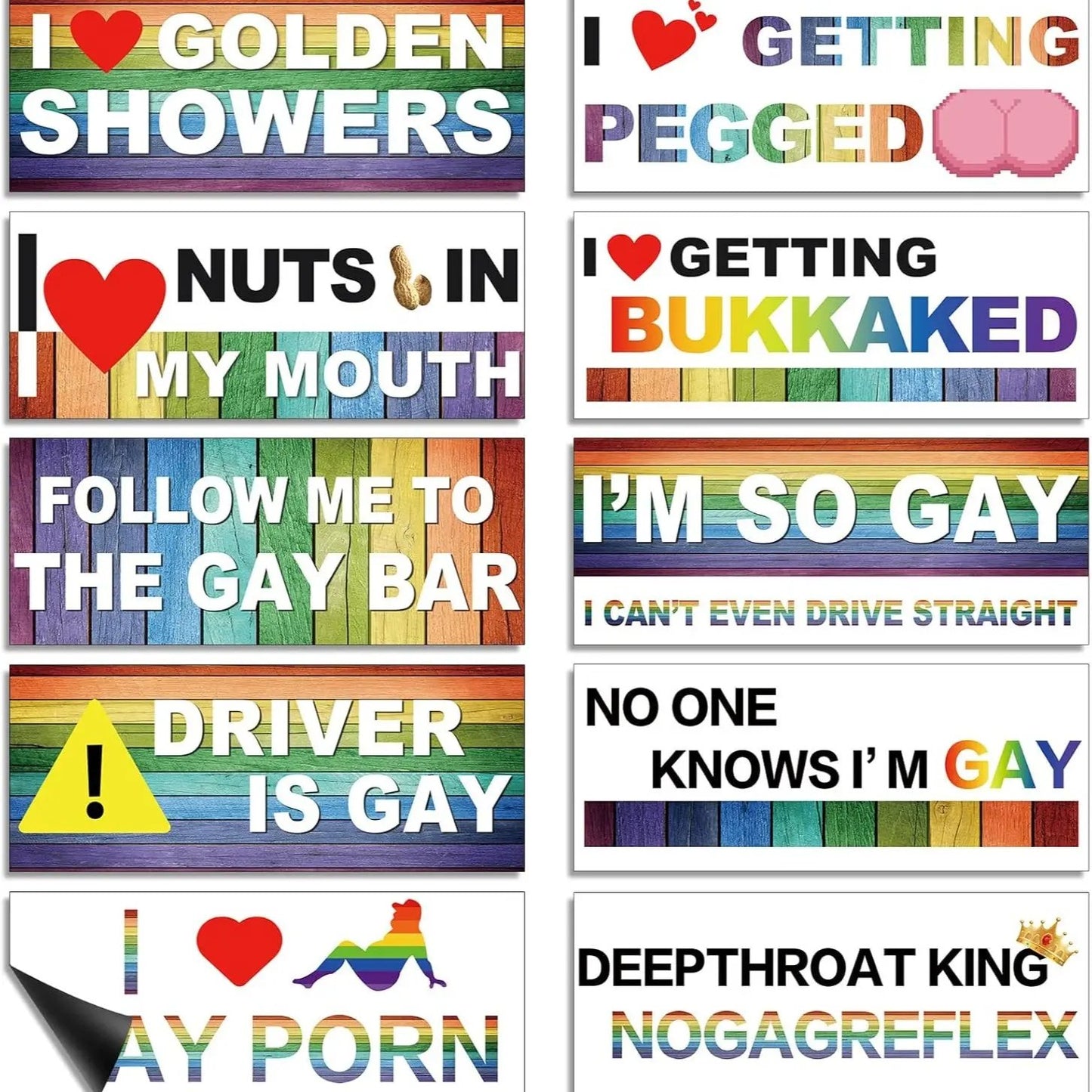 🌈Funny Gay Pride Rainbow Magnet Bumper Sticker Set