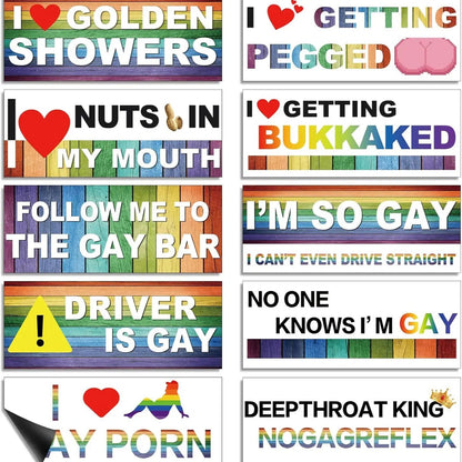 🌈Funny Gay Pride Rainbow Magnet Bumper Sticker Set