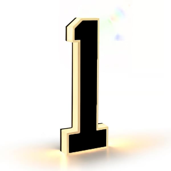 ✨ 9-inch Lighted House Numbers for Outside
