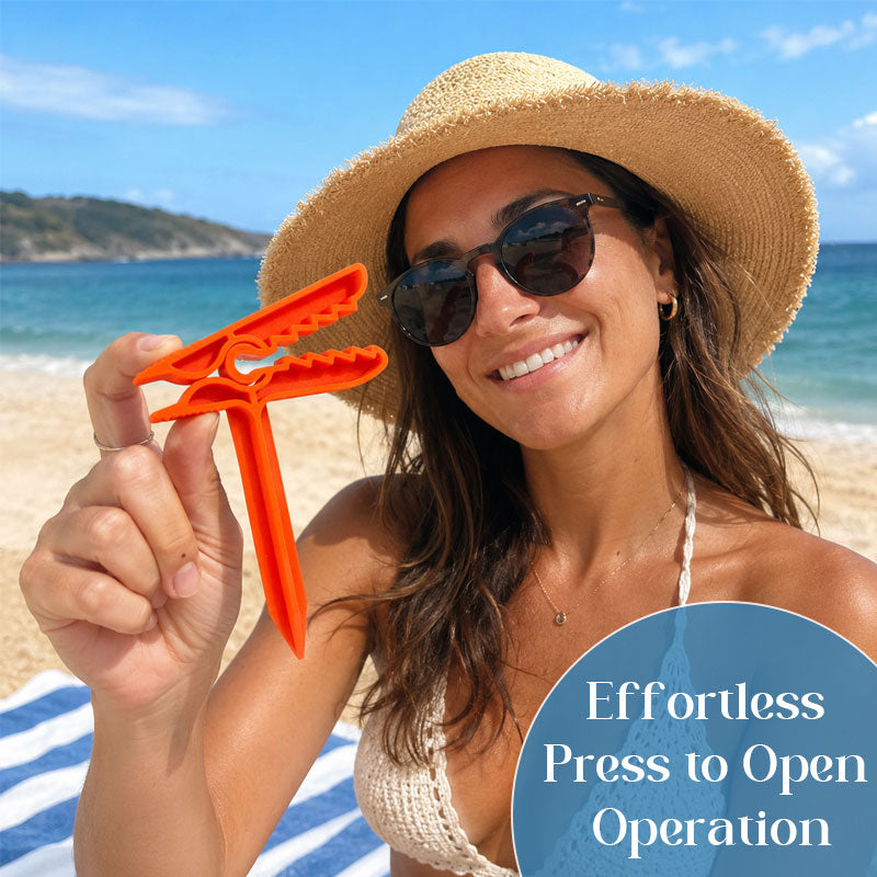 Beach Blanket Anchor Clips