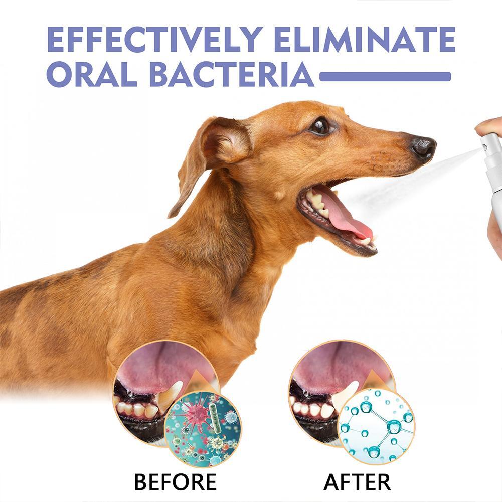 [⏰ Buy 1 Get 1 Free]Pet Tooth Cleaning Spray