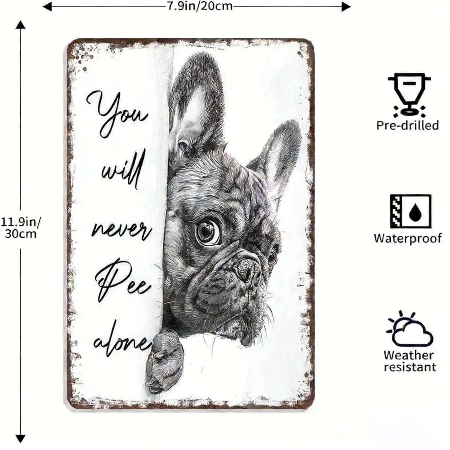 Vintage Black & White Cat Wall Art