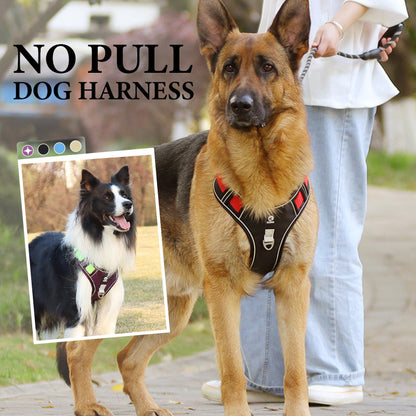 📢📢No Pull Dog Harness with Leash & Collar LED