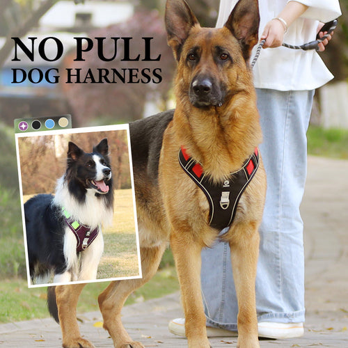 📢📢No Pull Dog Harness with Leash & Collar LED