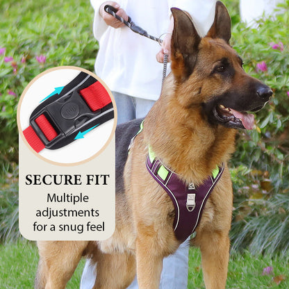 📢📢No Pull Dog Harness with Leash & Collar LED