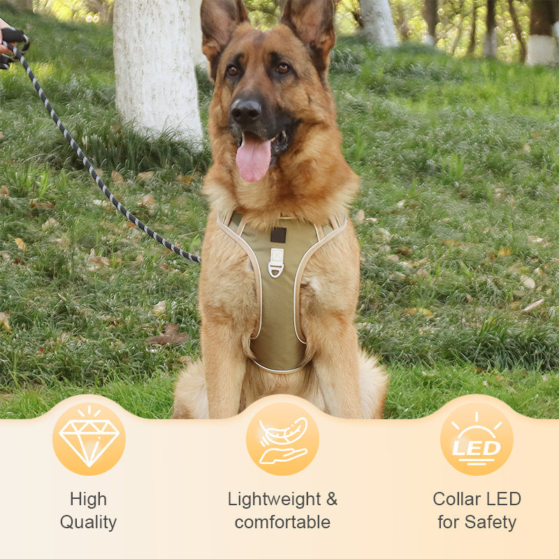 📢📢No Pull Dog Harness with Leash & Collar LED