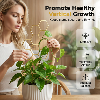 🌿 LIMITED-TIME 30% OFF! ✨ Honeycomb Plant Trellis – Rust-Proof, Stackable, Easy Install 🐝