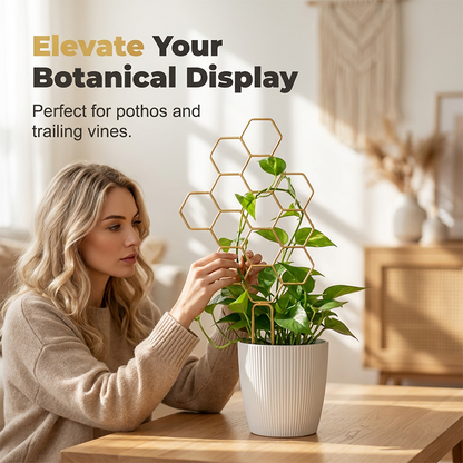 🌿 LIMITED-TIME 30% OFF! ✨ Honeycomb Plant Trellis – Rust-Proof, Stackable, Easy Install 🐝