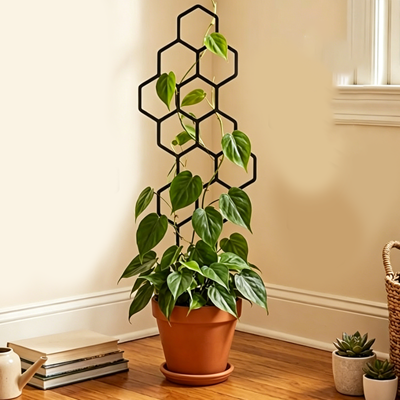 🌿 LIMITED-TIME 30% OFF! ✨ Honeycomb Plant Trellis – Rust-Proof, Stackable, Easy Install 🐝
