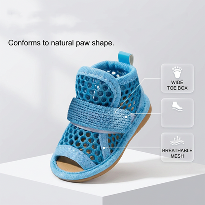 🐶Breathable Mesh Non-Slip Dog Shoes