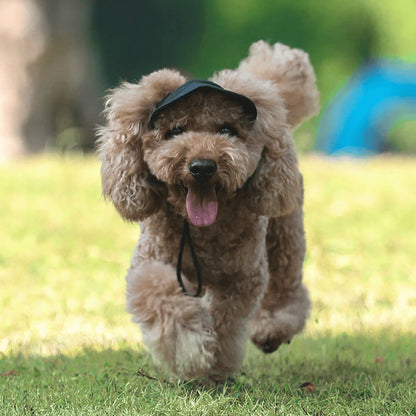⏳Time-Limited Special⏰Dog Sun Hat with Wide Brim – UV protection & breathable – Adjustable strap, perfect for summer walks or beach trips – keeps your pet cool and safe 🐶🌊✨