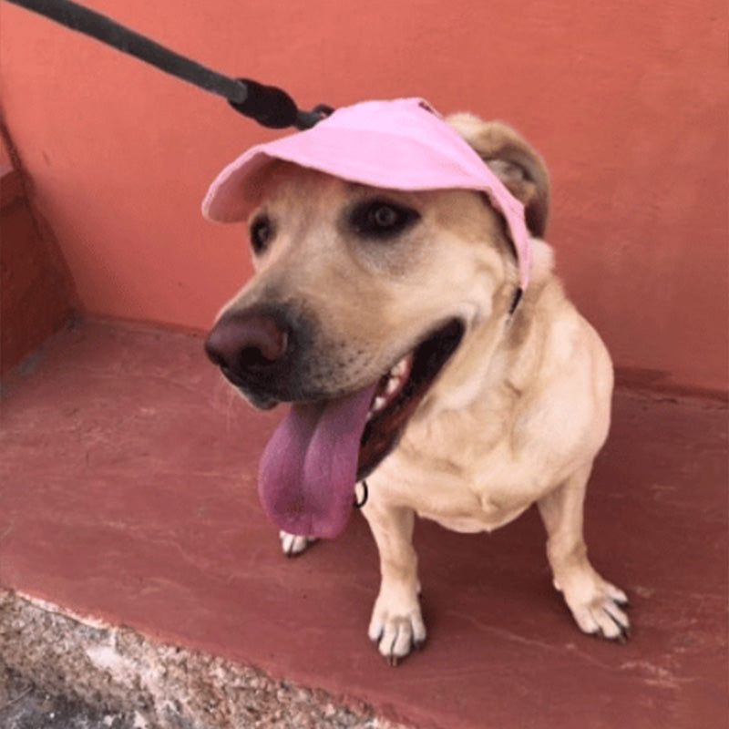⏳Time-Limited Special⏰Dog Sun Hat with Wide Brim – UV protection & breathable – Adjustable strap, perfect for summer walks or beach trips – keeps your pet cool and safe 🐶🌊✨
