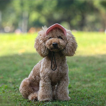 ⏳Time-Limited Special⏰Dog Sun Hat with Wide Brim – UV protection & breathable – Adjustable strap, perfect for summer walks or beach trips – keeps your pet cool and safe 🐶🌊✨