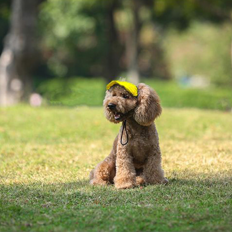⏳Time-Limited Special⏰Dog Sun Hat with Wide Brim – UV protection & breathable – Adjustable strap, perfect for summer walks or beach trips – keeps your pet cool and safe 🐶🌊✨