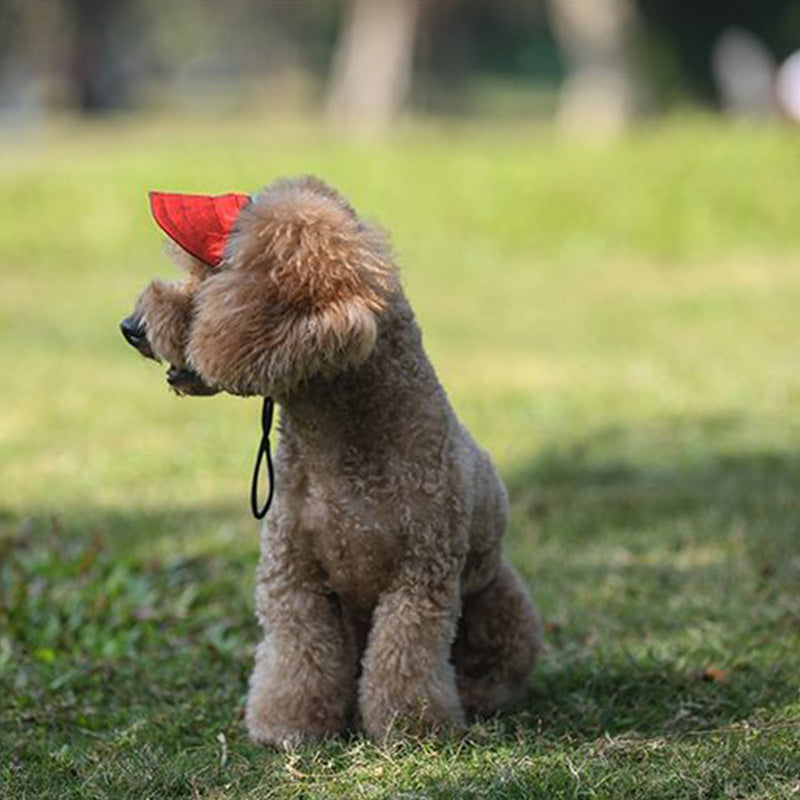 ⏳Time-Limited Special⏰Dog Sun Hat with Wide Brim – UV protection & breathable – Adjustable strap, perfect for summer walks or beach trips – keeps your pet cool and safe 🐶🌊✨