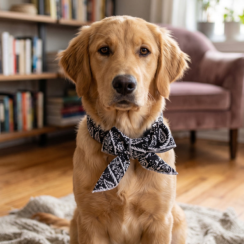 Summer Pet Cooling Collar Wrap